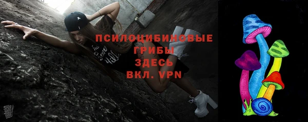молекула духа Алексеевка