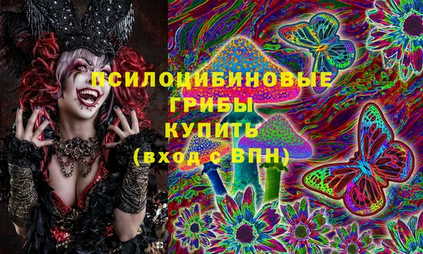 молекула духа Алексеевка