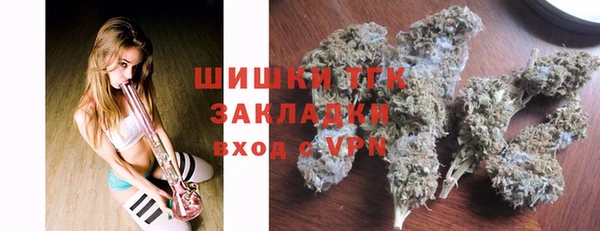 молекула духа Алексеевка