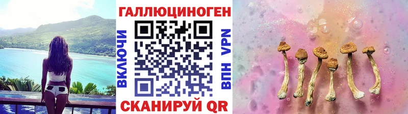 цены   omg ONION  Псилоцибиновые грибы Magic Shrooms  Вилючинск 
